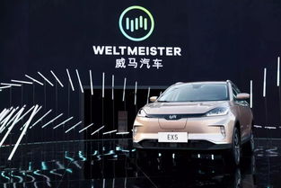 威馬收購汽車租賃公司，布局出行領域的三駕馬車