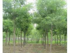 求購信息 買家 供應 會商寶求購網