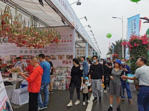 不僅是產(chǎn)品，更是理念和模式的對(duì)接——中國中山花木產(chǎn)業(yè)大會(huì)在橫欄舉辦