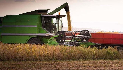 我國稻谷與小麥產(chǎn)量的統(tǒng)計(jì)方法解析